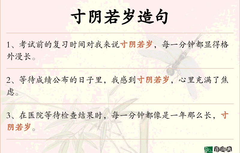 寸阴若岁