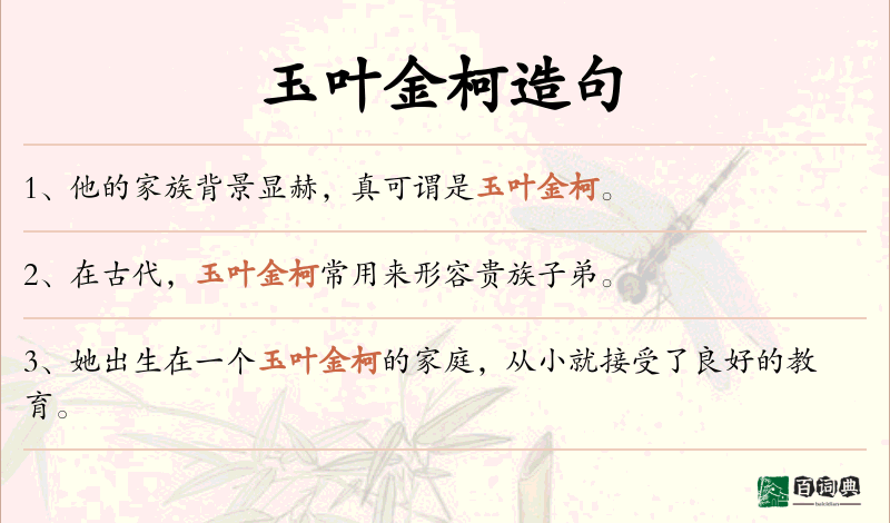 玉叶金柯