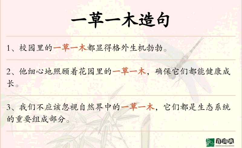 一草一木