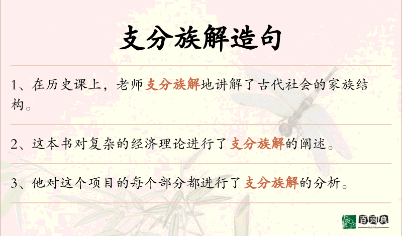 支分族解