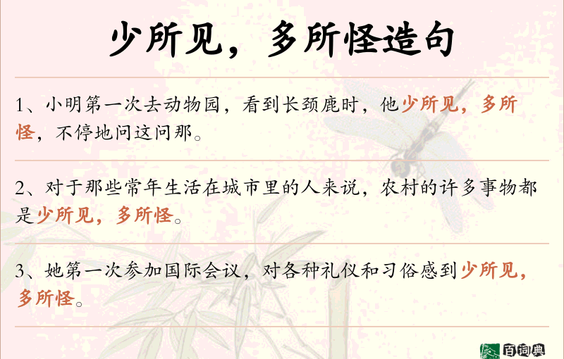 少所见，多所怪