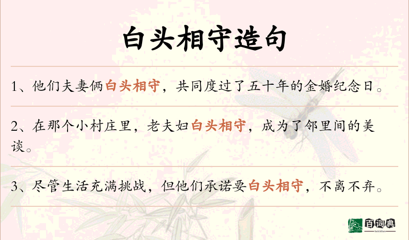 白头相守