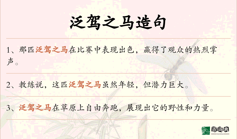 泛驾之马