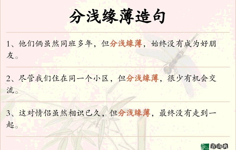 分浅缘薄