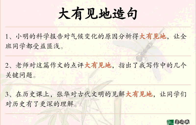 大有见地