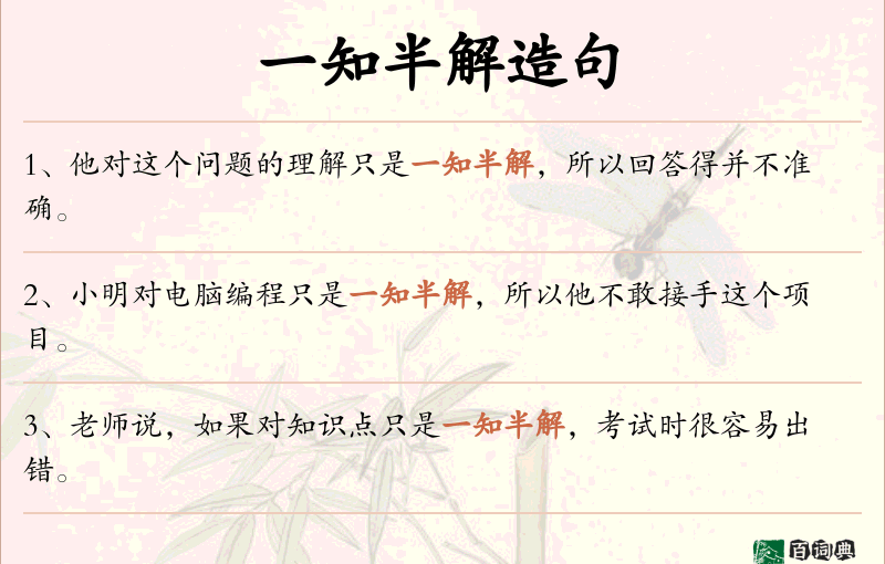 一知半解