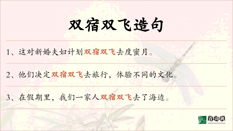 双宿双飞