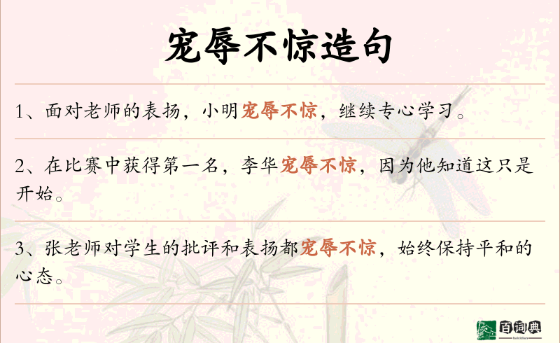 宠辱不惊