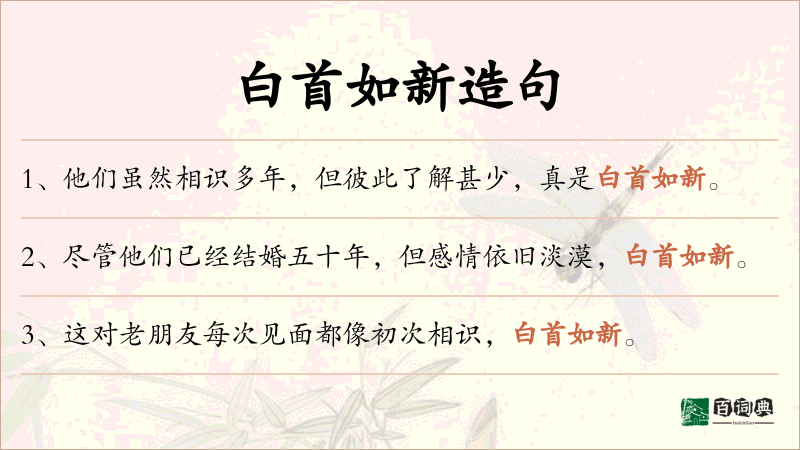白首如新