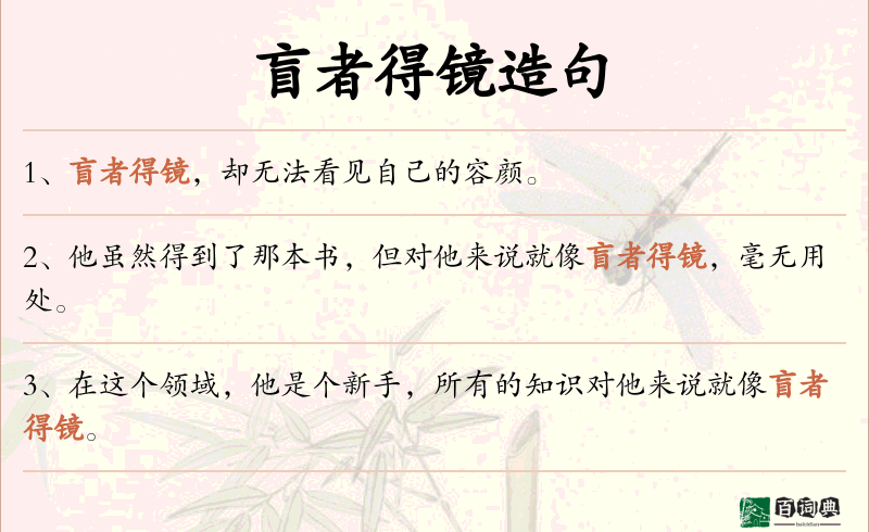 盲者得镜