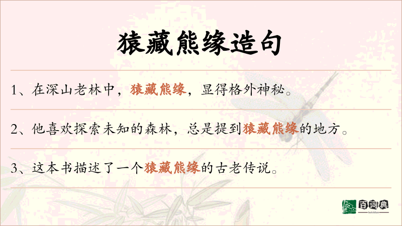 猿藏熊缘