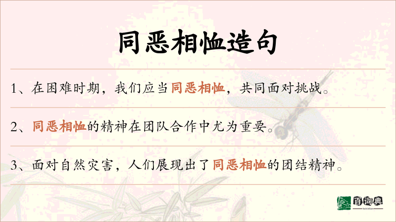 同恶相恤