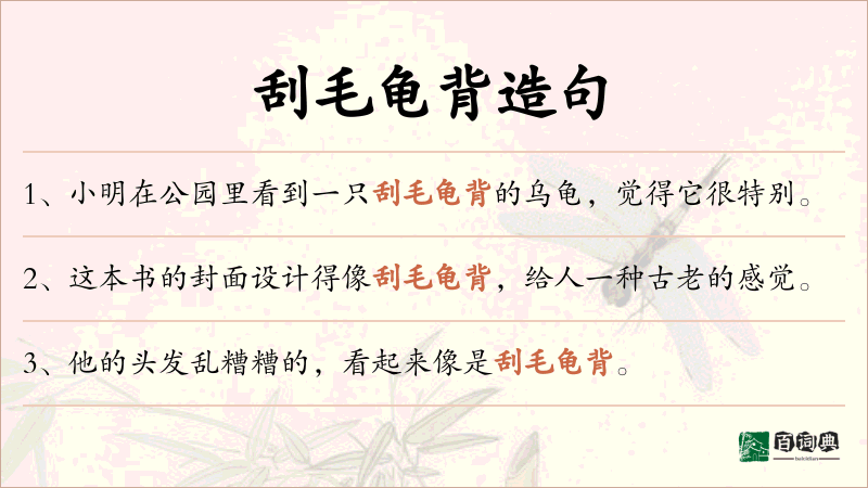 刮毛龟背