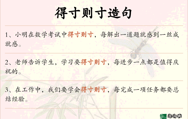 得寸则寸