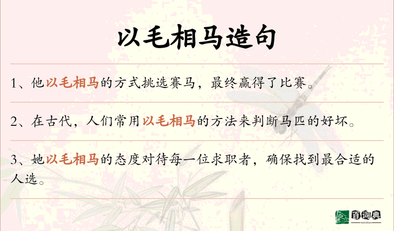 以毛相马