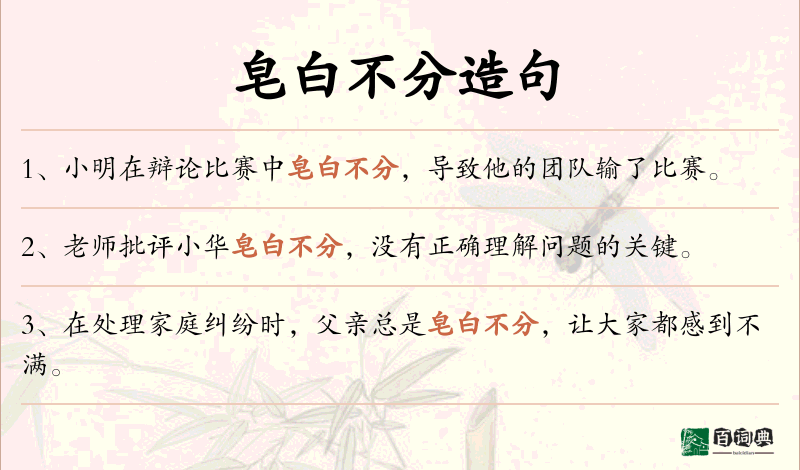 皂白不分