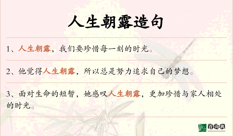 人生朝露