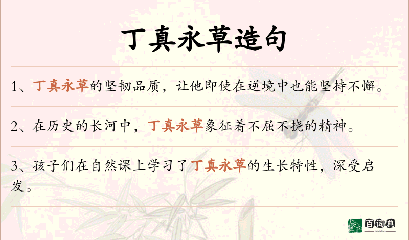丁真永草
