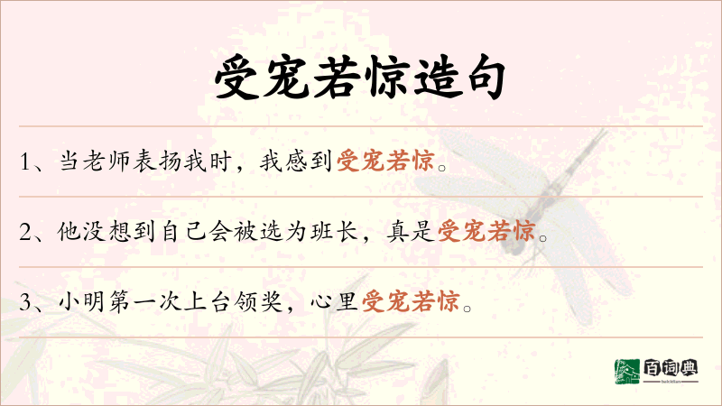 受宠若惊