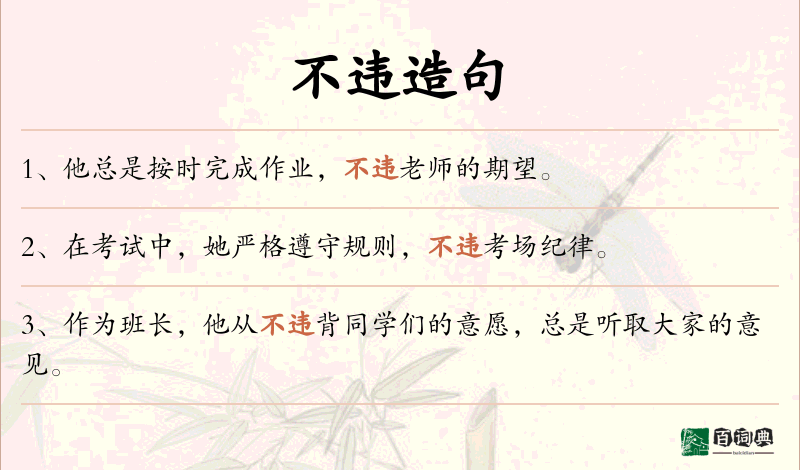 不违