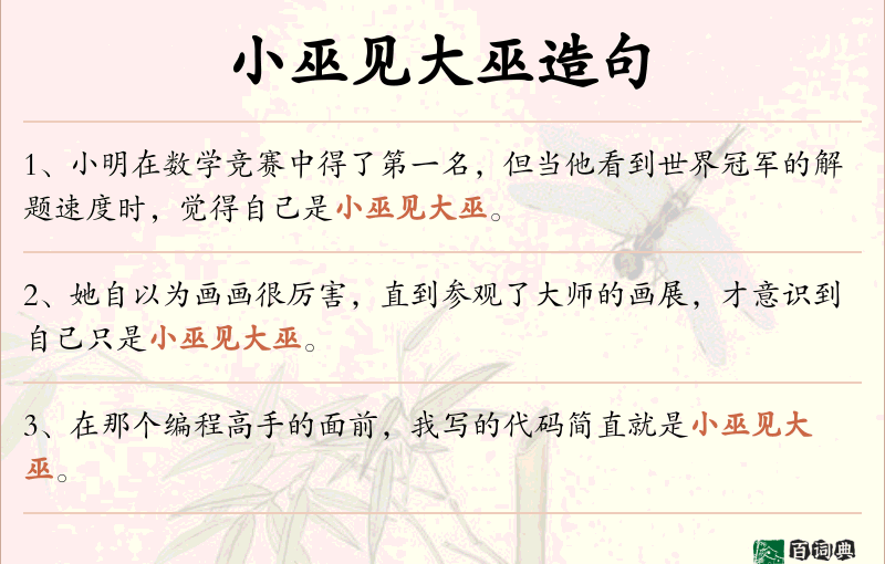 小巫见大巫