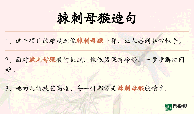 棘刺母猴
