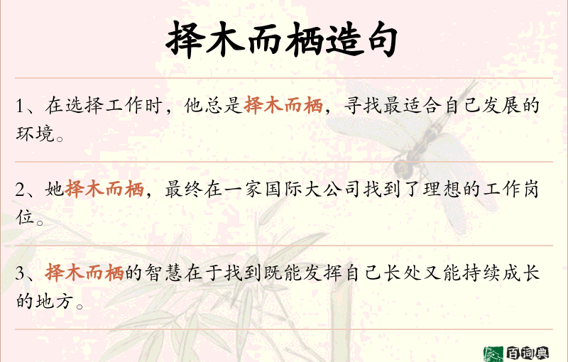 择木而栖