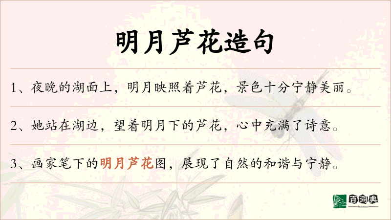 明月芦花