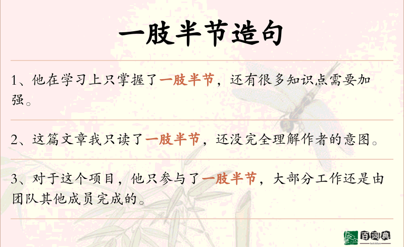 一肢半节