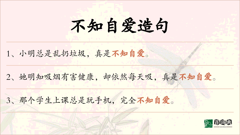 不知自爱