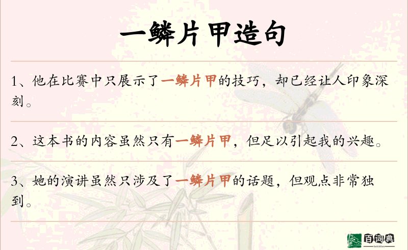 一鳞片甲