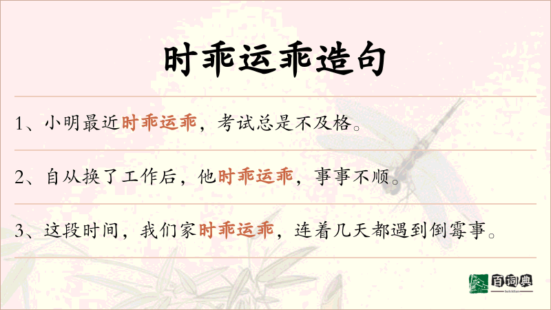 时乖运乖