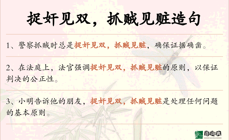 捉奸见双，抓贼见赃
