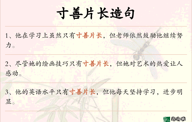 寸善片长