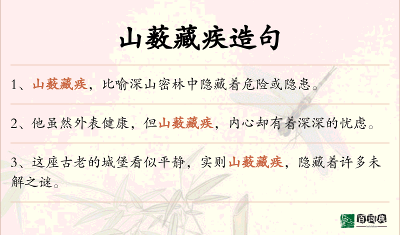 山薮藏疾