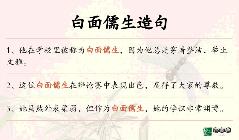 白面儒生