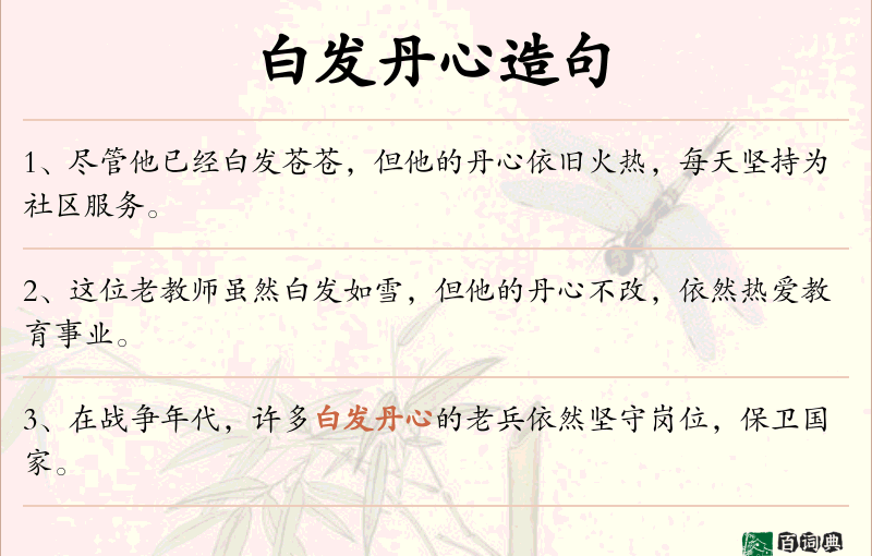 白发丹心