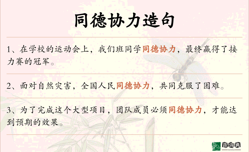 同德协力