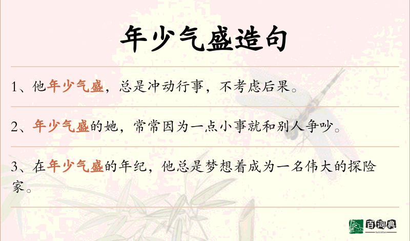年少气盛
