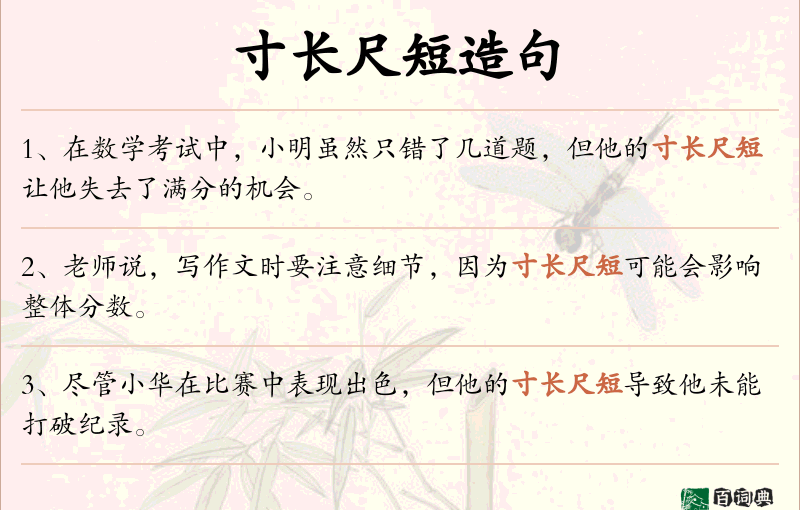 寸长尺短