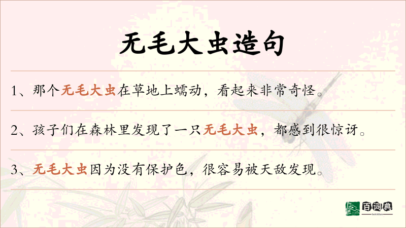 无毛大虫