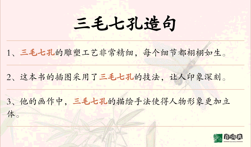 三毛七孔