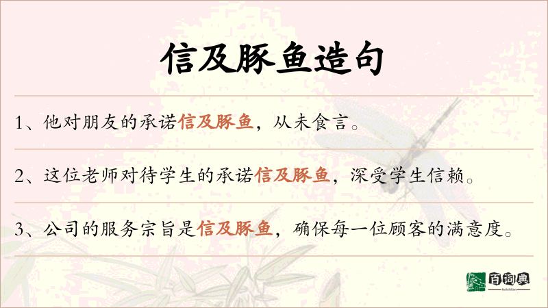 信及豚鱼