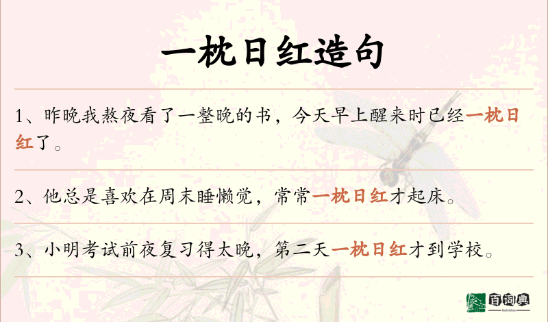 一枕日红