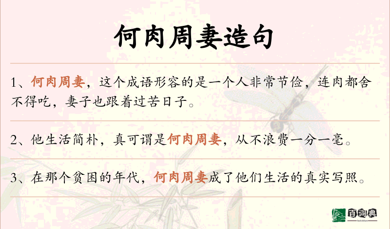 何肉周妻