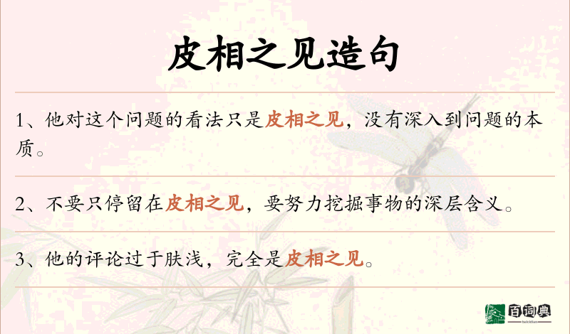 皮相之见