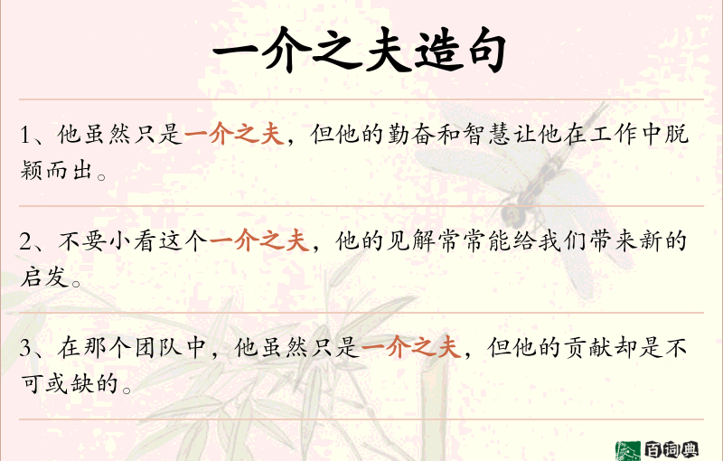 一介之夫