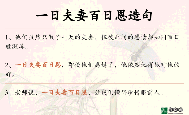 一日夫妻百日恩