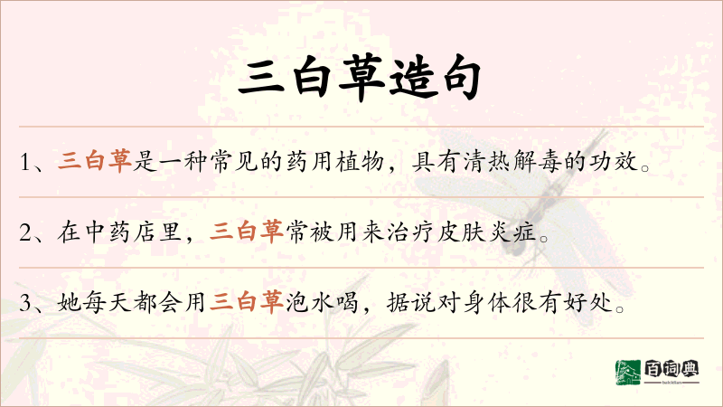 三白草