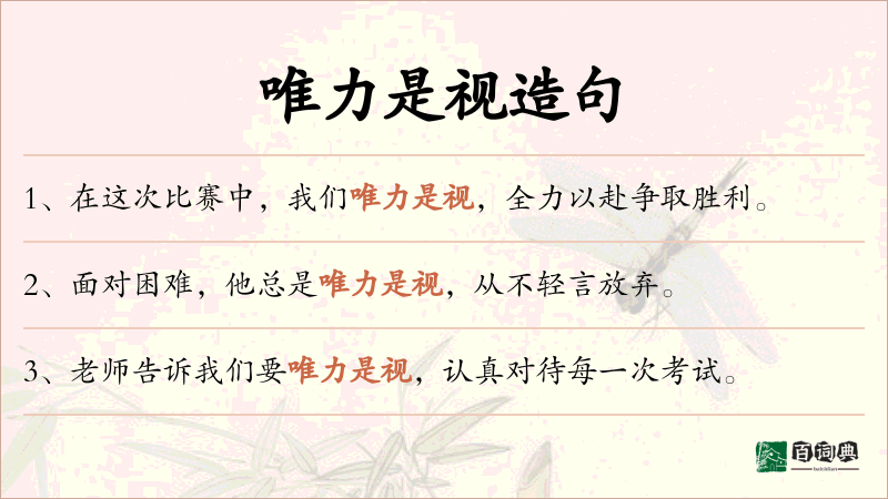 唯力是视